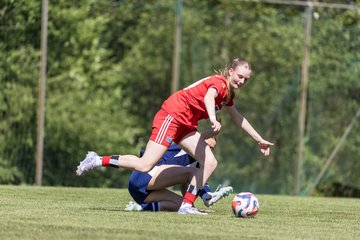 Bild 98 - wBJ Hamburger SV - Hertha BSC : Ergebnis: 5:2